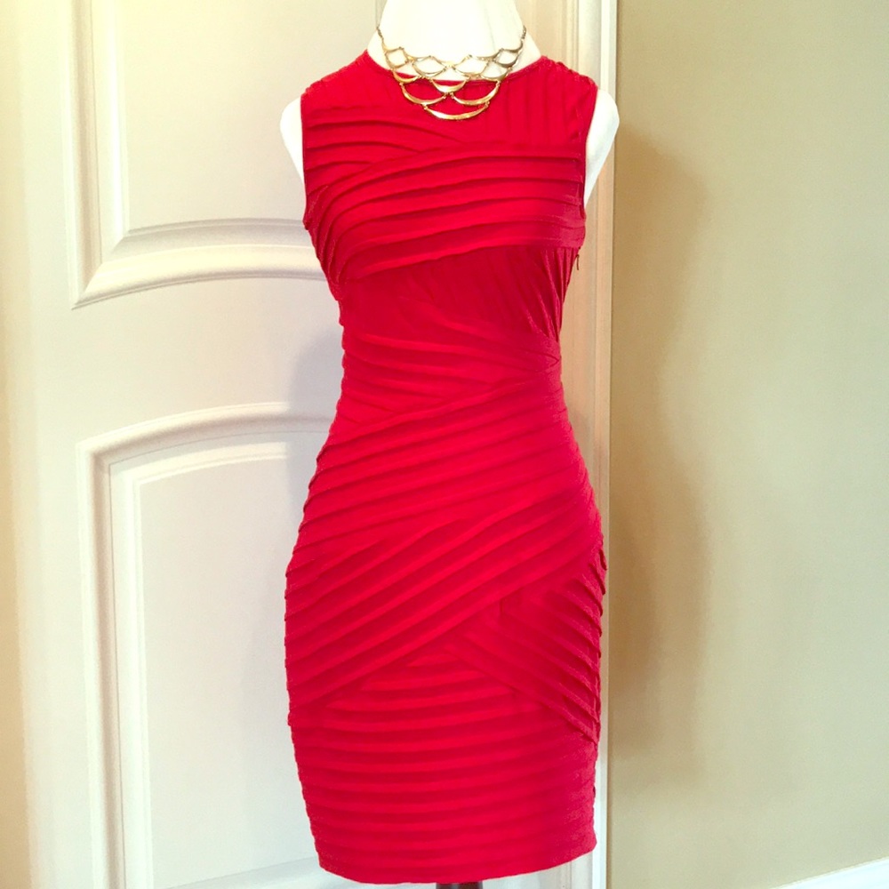 Calvin Klein Senator Dress